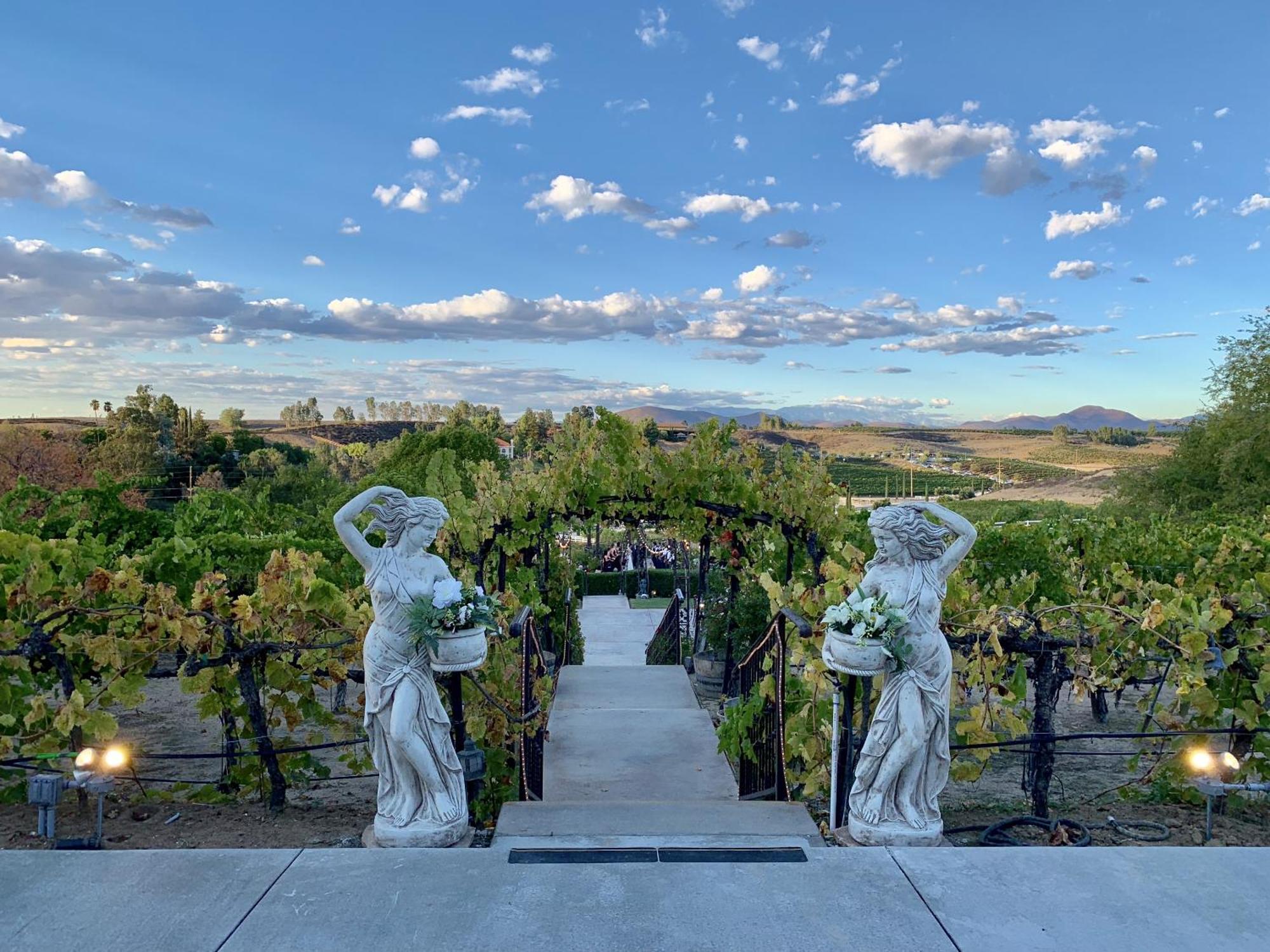 Churon Inn Winery 蒂梅丘拉 外观 照片